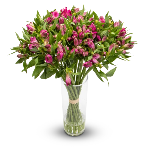 Bouquet of alstromerias